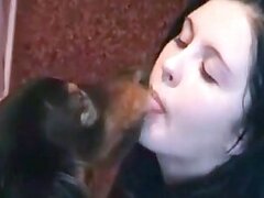 Blowjob animal xxx