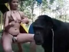 Pony bestiality tube