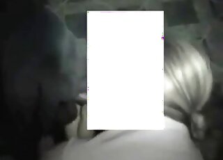 Guy's large cock is the best treat for black dog that loves 'em big