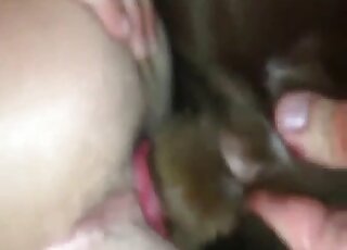 Totally shaved asshole of a zoophile gets fucked by a brown beast