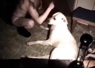 Attractive blonde enjoying hardcore action with a sexy animal