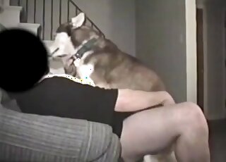 Nice fucking movie in which a guy fucks his beast in the armchair