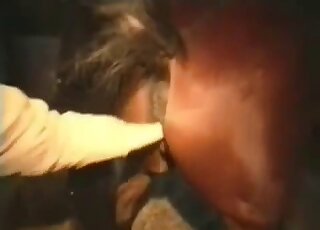 Dude fisting a brown mare's vagina until it starts squirting hard
