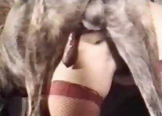 Kırmızı çoraplı bebeğim dört ayak üzerinde bir köpek tarafından beceriliyor