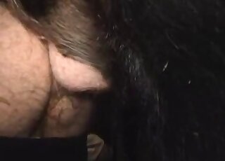 Pig fucking a submissive zoophile in a compilation-style farm vid