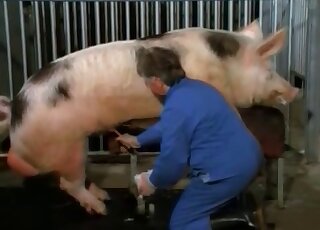 Dude gives his pig a nice handjob just because he can get it off