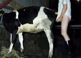 حيوان مثير سوف يتم ضربه من الخلف بشغف حقيقي