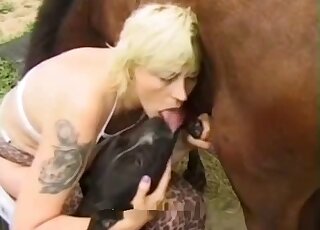 Brown stallion and black dog fucking the same lady in a threesome