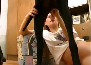 Redheaded lady sucking on a dog's penis in a free online porno