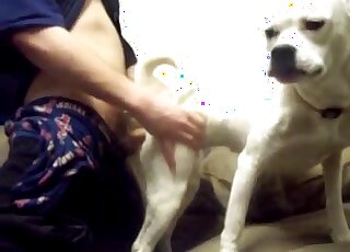 Guy fucks dog from behind and this white animal is moaning too