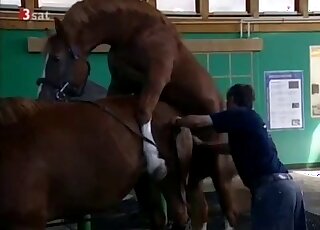 Compilation of all the sexiest action happening on the fuckfarm