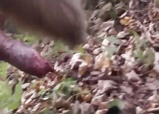 رجل عجوز يستمتع بممارسة اللواط مع كلب الراعي الألماني في الهواء الطلق