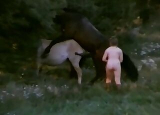 Vintage zoo sex - Chubby woman loves riding horses naked