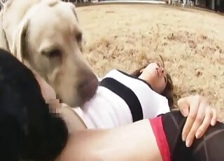 Alluring Japanese lady adores having anima sex fun with horny Labs