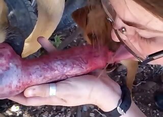 Nerdy babe with glasses orally pleases pet dog after jerking him off