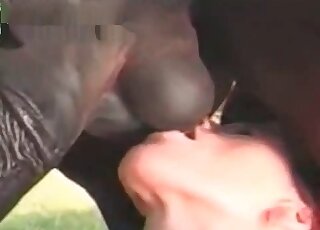 Filthy bitch licks huge balls of a horse during oral XXX action