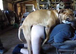 Husband overlooks wife who is getting pounded by their pet dog