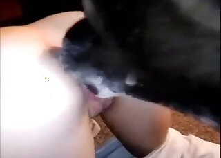 Babe with pulled down panties is about to get licked by a sexy dog