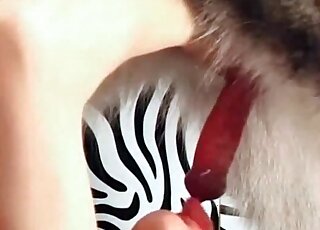 Close-up blowjob session delivered to a dog by horny chick