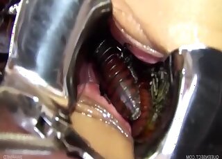 Skilled blonde shares unique zoophilia with bugs in her cunt