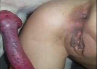 Teen whore squirts after the dog humps her very good