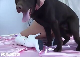 Restless dog perversions lead hot blonde model to supreme pleasure