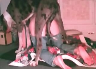 Massive dog makes horny zoophile bitch moan from hot fucking