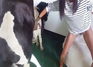 Orgasmic fuck scene with a zoophile that needs horse cock inside