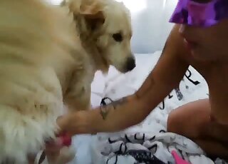 Awesome porn movie showing a purple mask babe that fucks dogs
