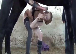 Attractive lady in black lingerie is sucking on a horse's meaty penis