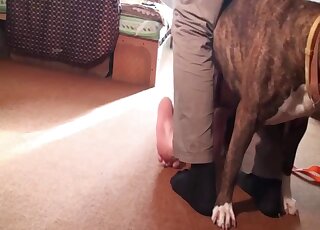 Merciless fucking movie showing a kinky lady that wants orgasms