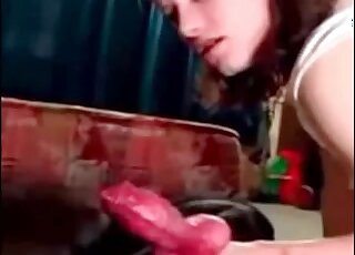 Çeşitli hayvanat bahçesi porno sahnelerinde gösterilen fellatioların derlemesi