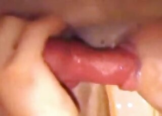 Non-stop blowjob session performed by a versatile blond zoophile chick