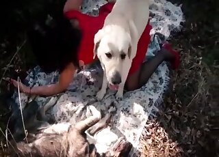 Red dress babe finds a white dog that fucks her on all fours