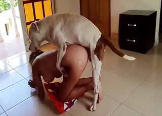 Golden mask lady is showing her affinity for white dog's dick