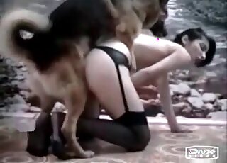 Zoophile slut moans as her pussy endures hot fucking by a dog