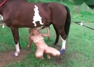 Brown stallion hangs dong and lets this skinny blonde suck that dick