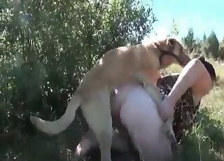 عاهرة سمينة ذات عقل خفيف تعطي فرجها السمين لكلبها الشهواني