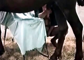 الكلبة تفتح ساقيها على نطاق واسع من أجل الترحيب بقضيب الكلب في الداخل