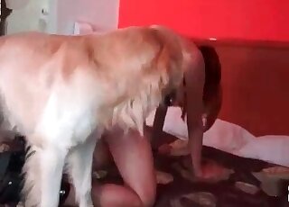 Homemade closeup vid of a naughty chick enjoying her dog’s cock in twat