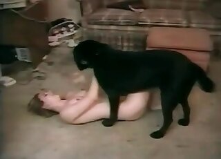 Playful bimbo invites her dog to sniff at her soaking pussy