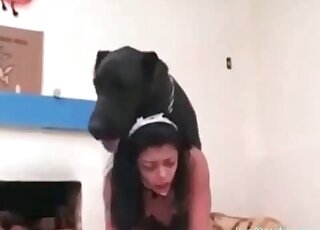 كلب ضخم يمارس الجنس مع فتاة سمراء جميلة بلا حدود