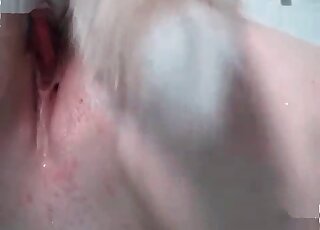 White fluffy dog fucks pink shaved pussy of a slutty chick on cam