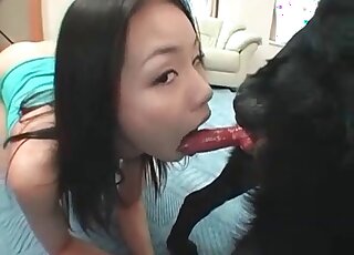 Spoiled Asian bimbos cannot stop sucking pink cocks of canines
