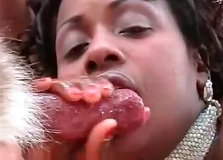 Ebony and white chicks gladly share dog's shaft during blowjob