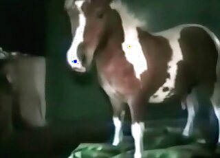 成熟的戀獸癖女蕩婦對小馬的大雞巴欲罷不能