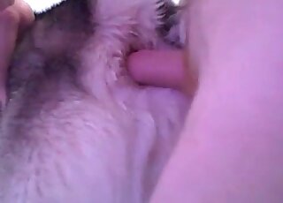 Nude fellow takes out his cock to stick it into his dog’s hole