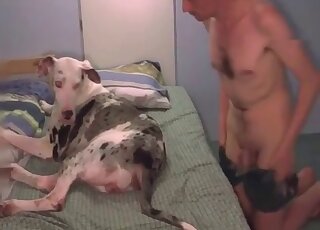 Animals loving zoophile dude gives a pussy lick to his female dog