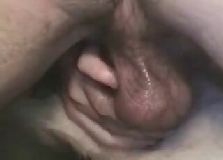 Dirty fucker screws his dog in a wild bestiality porno video