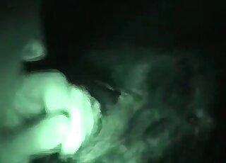 Dirty-minded pervert explores the genitals of dolphins iin the water